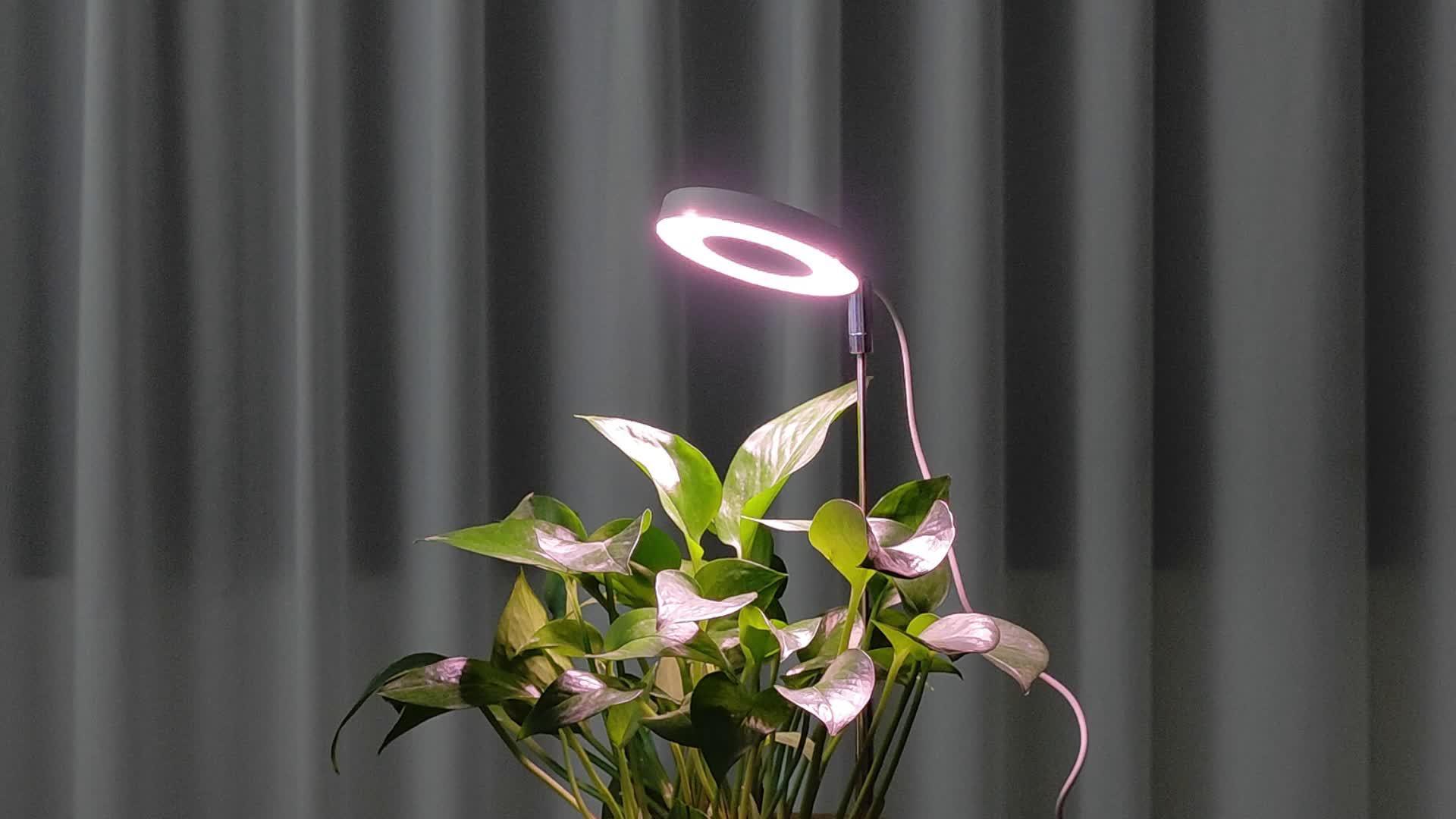 LED Grow Light - Adjustable Height Automatic Timer for Indoor Plants Succulents and Flowers