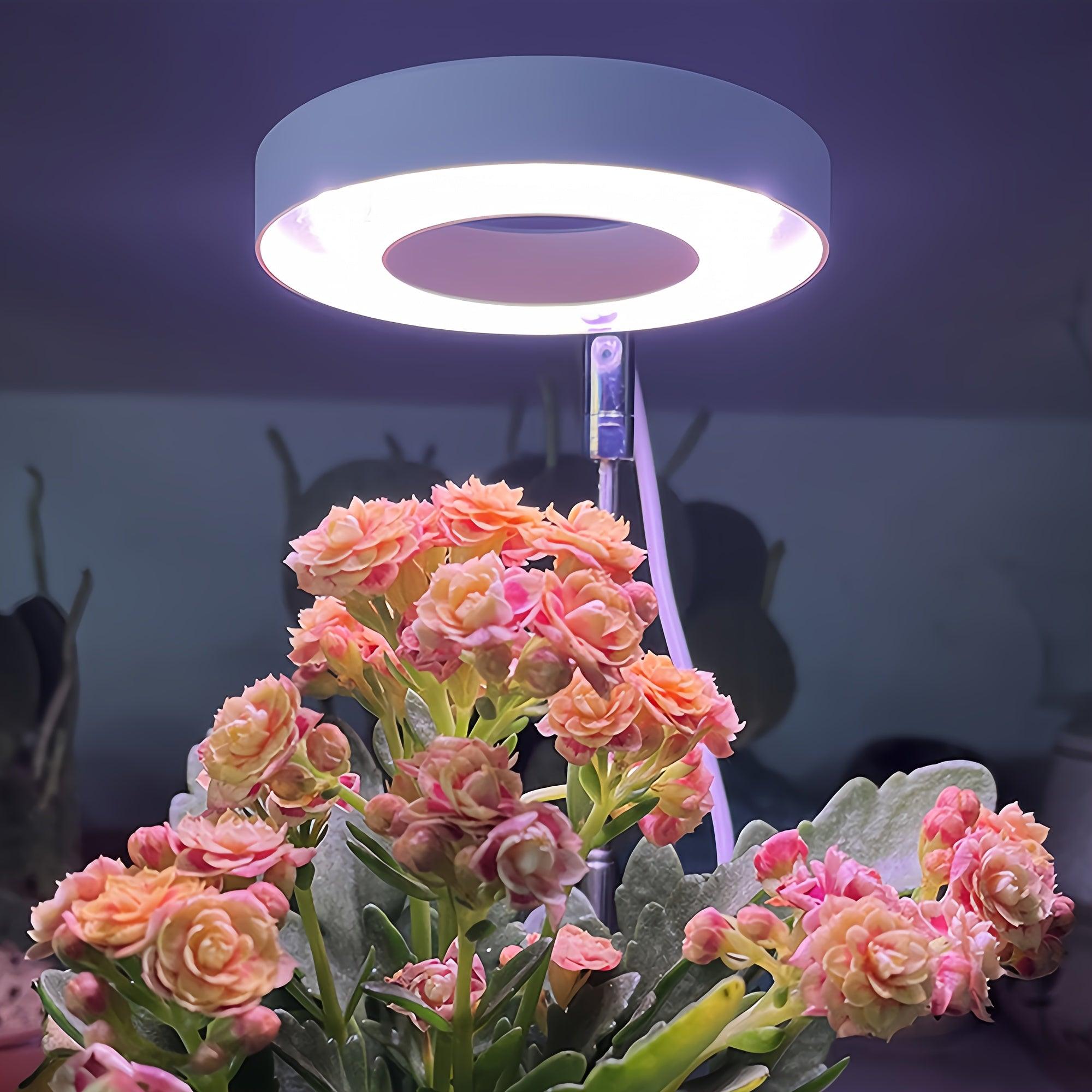 LED Grow Light - Adjustable Height Automatic Timer for Indoor Plants Succulents and Flowers