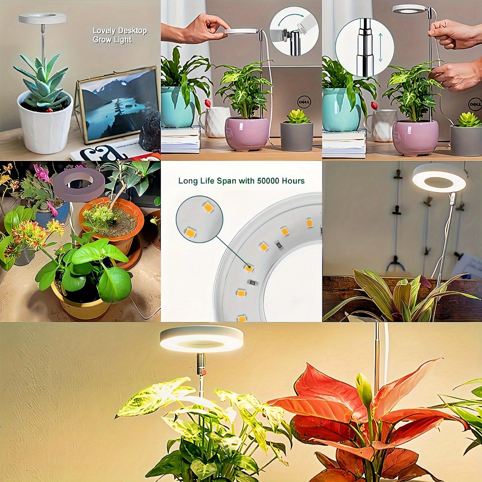 LED Grow Light - Adjustable Height Automatic Timer for Indoor Plants Succulents and Flowers