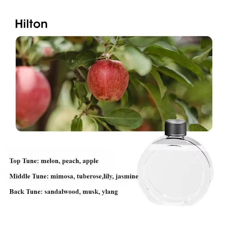 Wall Mounted Automatic Air Freshener - Hotel Toilet Deodorizer Household Perfume Diffuser - STOREBLITZ