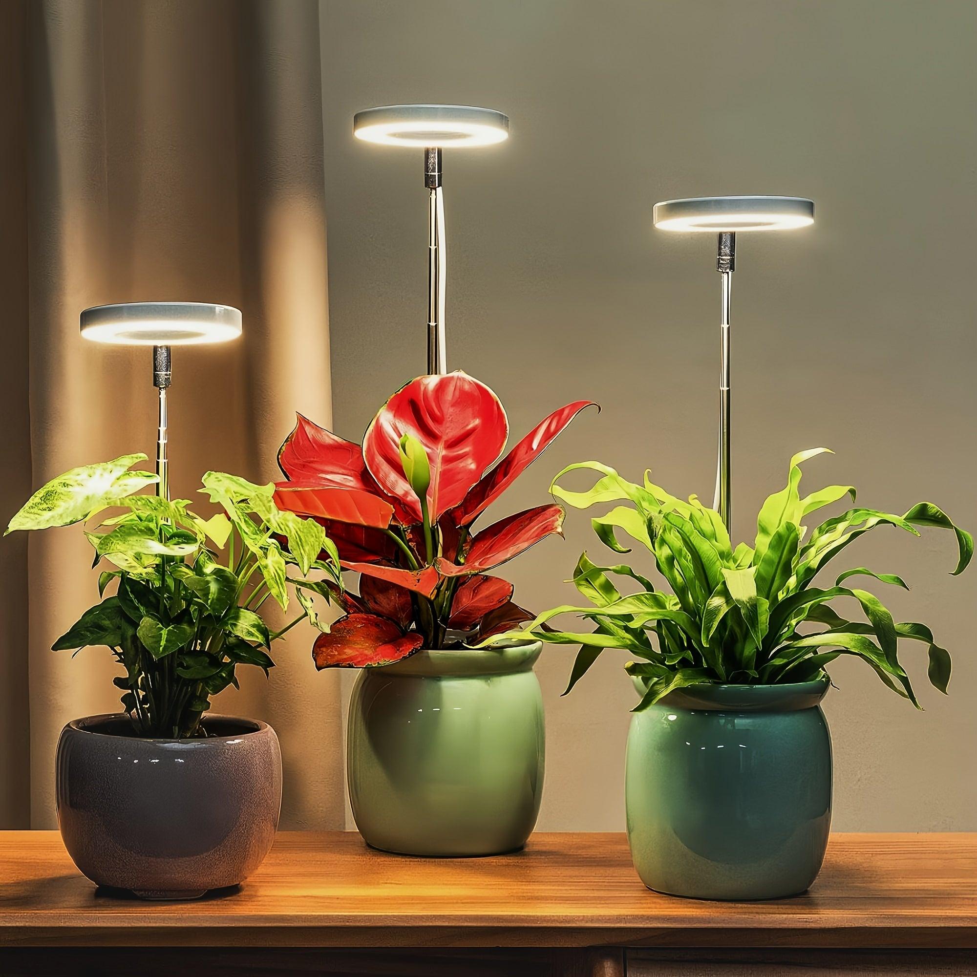 LED Grow Light - Adjustable Height Automatic Timer for Indoor Plants Succulents and Flowers