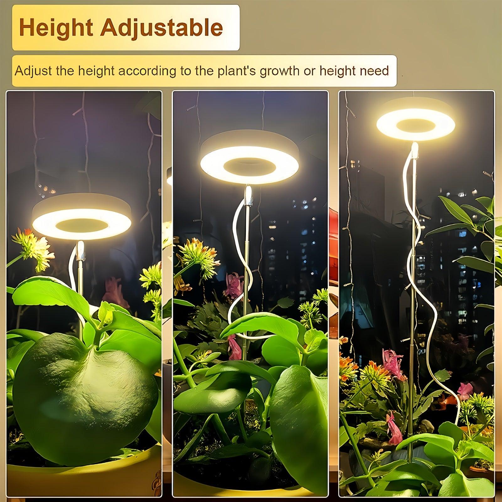 LED Grow Light - Adjustable Height Automatic Timer for Indoor Plants Succulents and Flowers